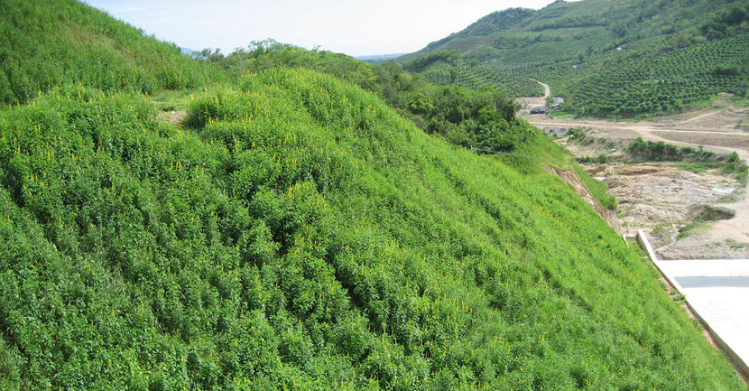 海南三亞·大隆水庫邊坡水土保持工程