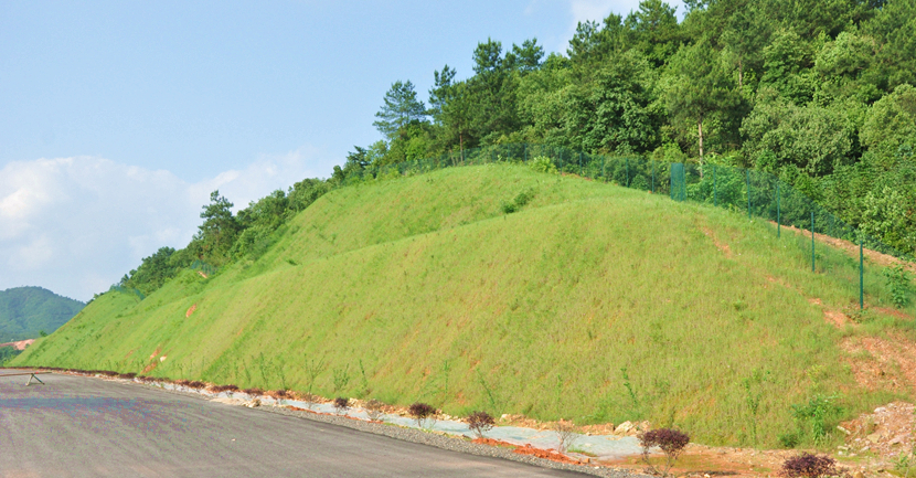 江西·鷹潭至瑞金高速公路建設(shè)項目綠化景觀工程