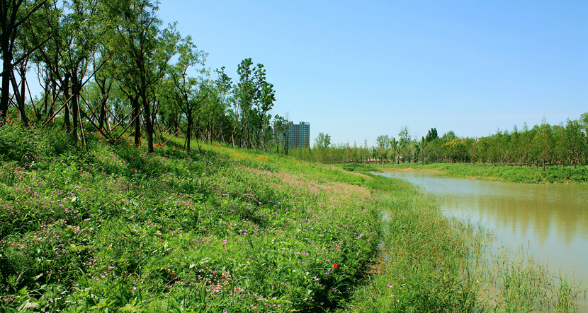 北京·環(huán)渤海高端總部基地北部城市濕地公園